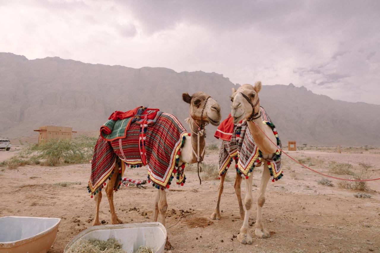 Pura Eco Retreat, Jebel Hafit Desert Park Αλ Άϊν Εξωτερικό φωτογραφία